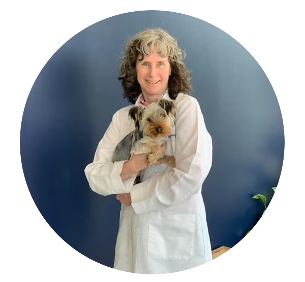 Dr. Sandy Stewart, Veterinarian Dr. Sandy Stewart, veterinarian at Flowery Branch Animal Hospital, holding a small dog