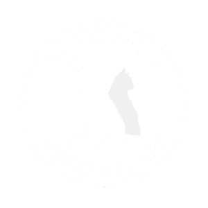 Vet Flowery Branch GA
