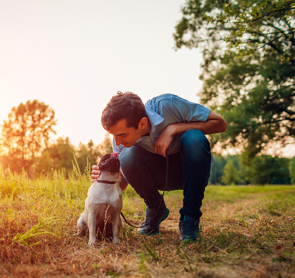 Man bonding with his dog outdoors near Flowery Branch Animal Hospital in the Flowery Branch, GA community